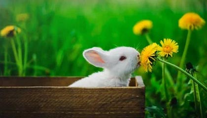 九游电脑版-国足年度比赛中传球密集度变化趋势，国足传控