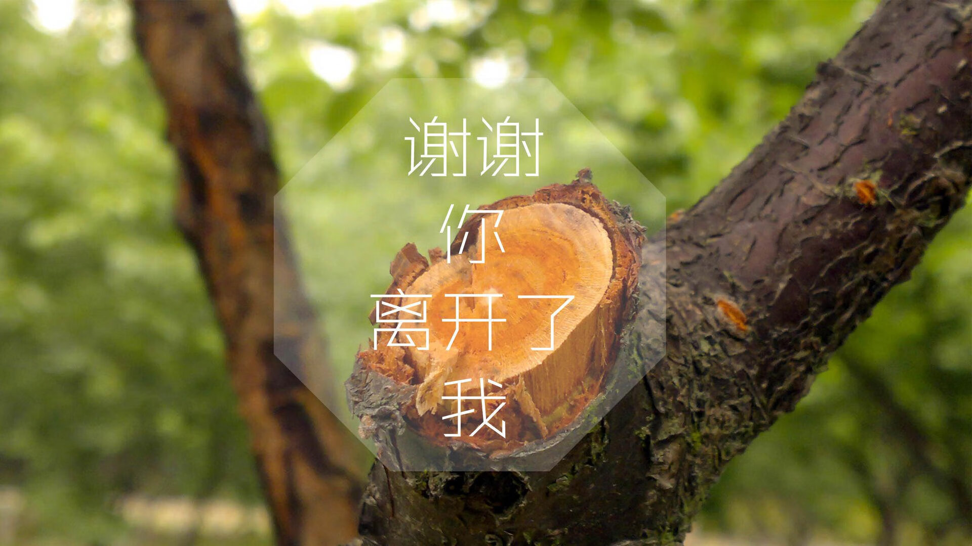 _勇士投篮如神，连连得分_，勇士如何投三分