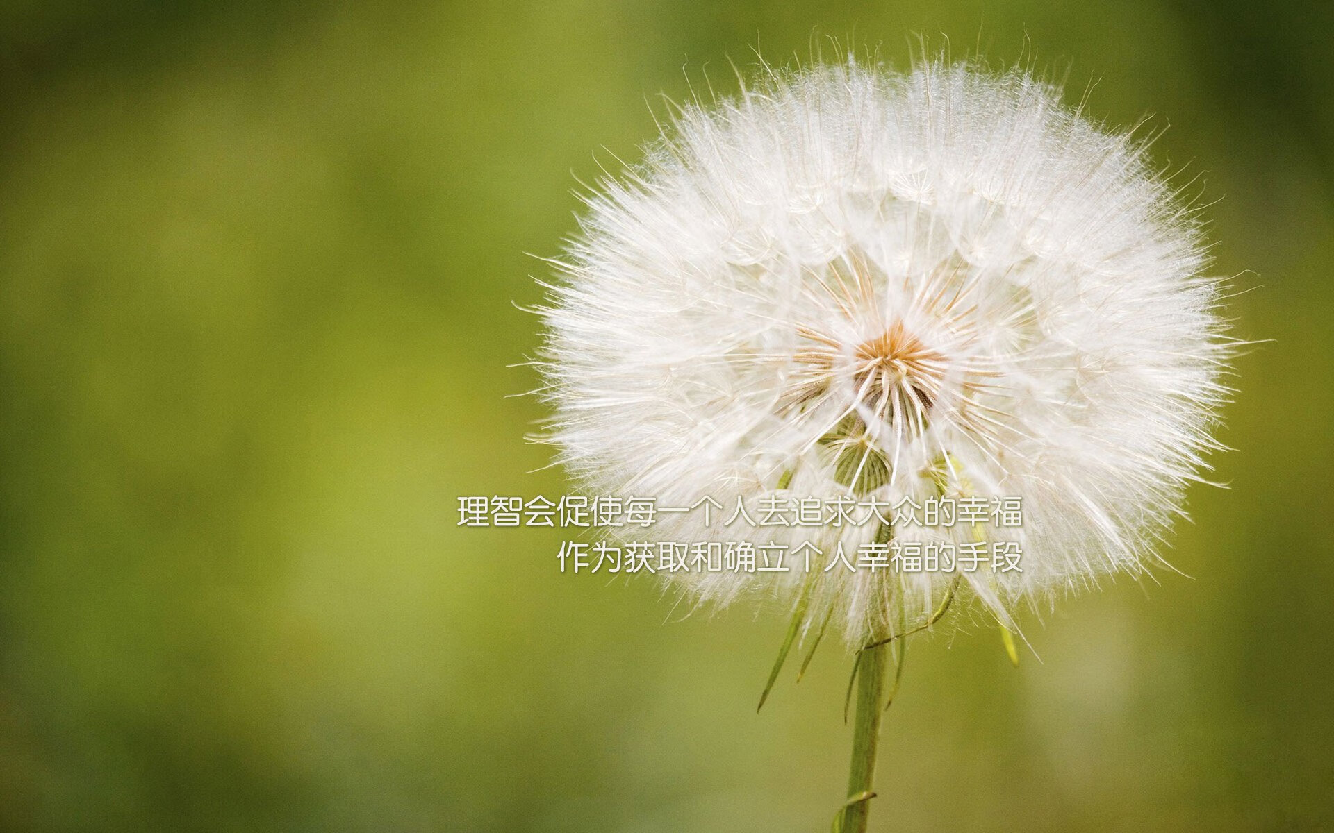 意甲豪门“豪赌”_ 高价签入新星，战术打法再升级，意甲三豪门