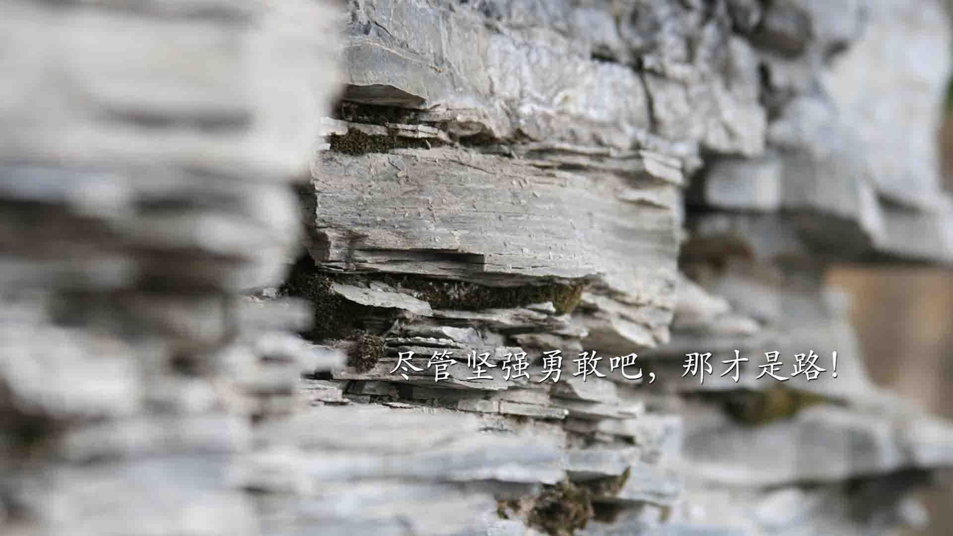 未来联盟：AI和大数据如何重新定义篮球比赛？，篮球大数据平台中国篮协