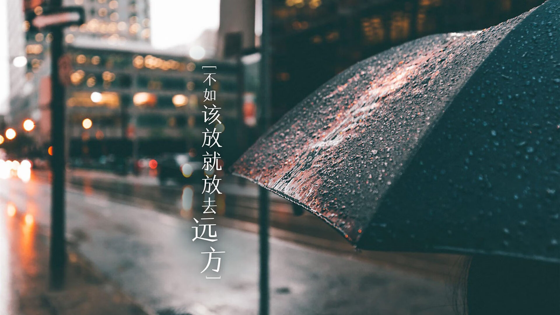 CBA联赛转会市场分析，cba联赛转会市场分析图