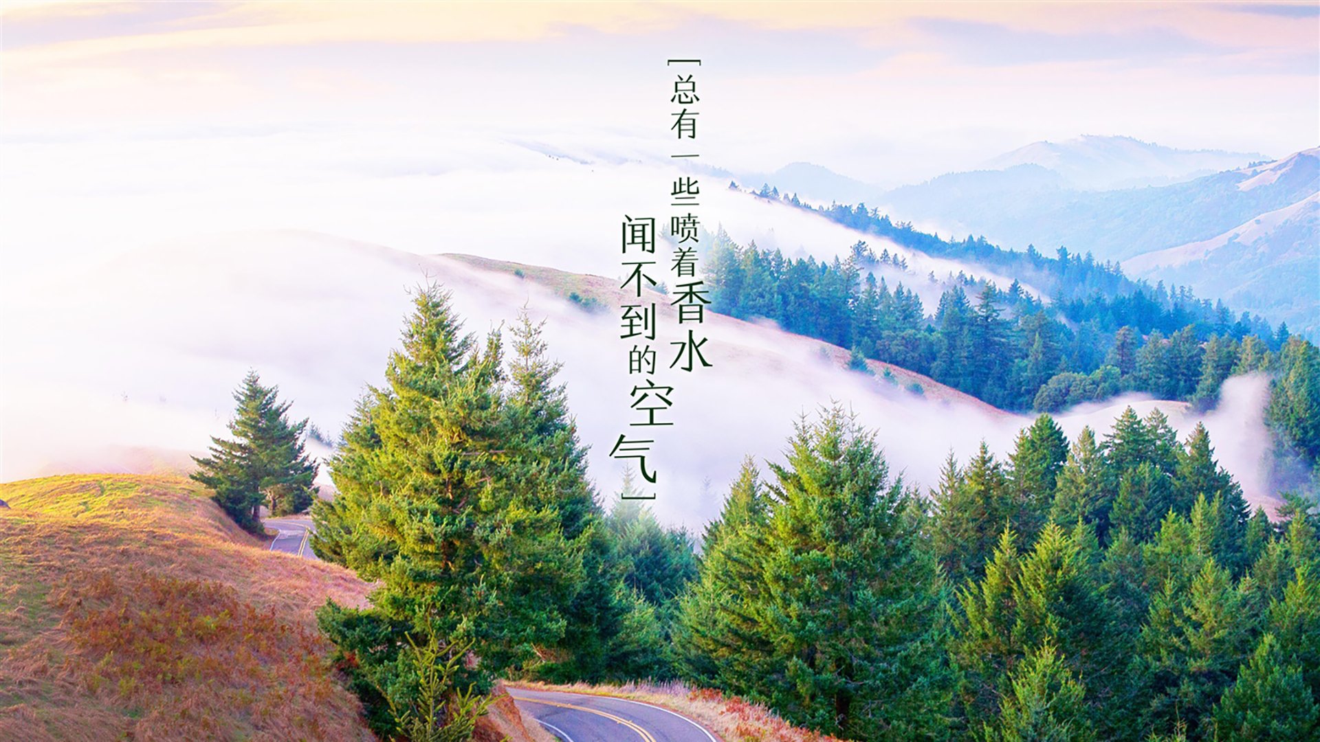 国米主场告捷！保持不败势头，实力有所增强，国米tifo