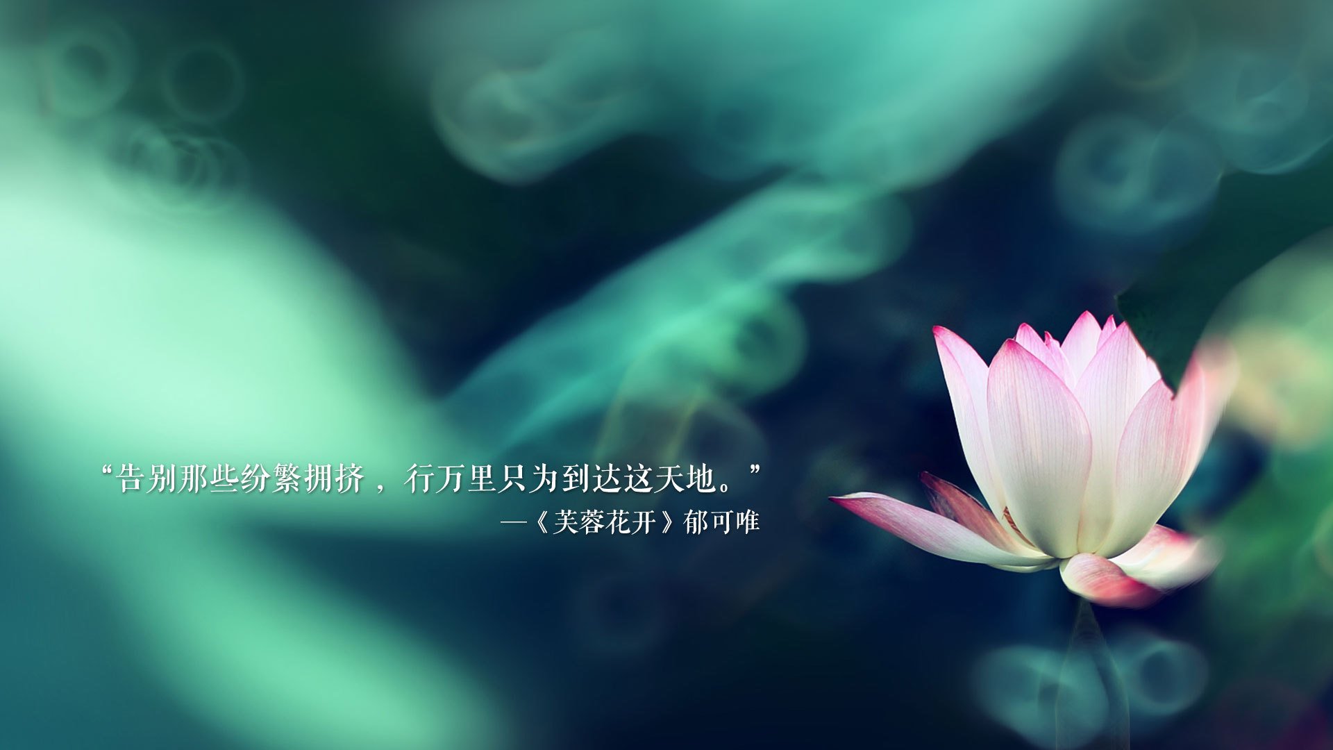 “六人制袋棍球：成都七中东部赛场突破传统运动限制”