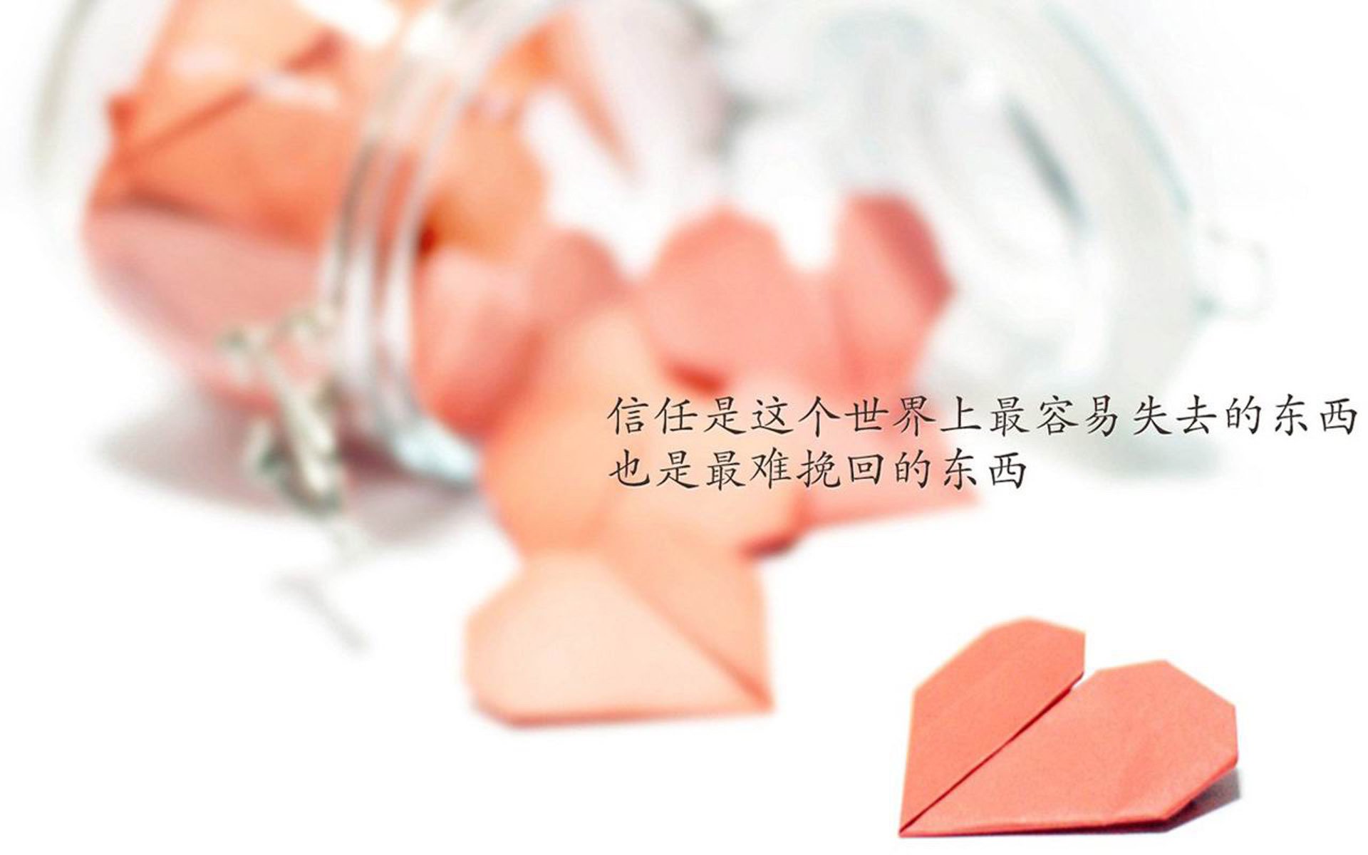 大众健身热潮体育公园成市民首选，大众体育场馆