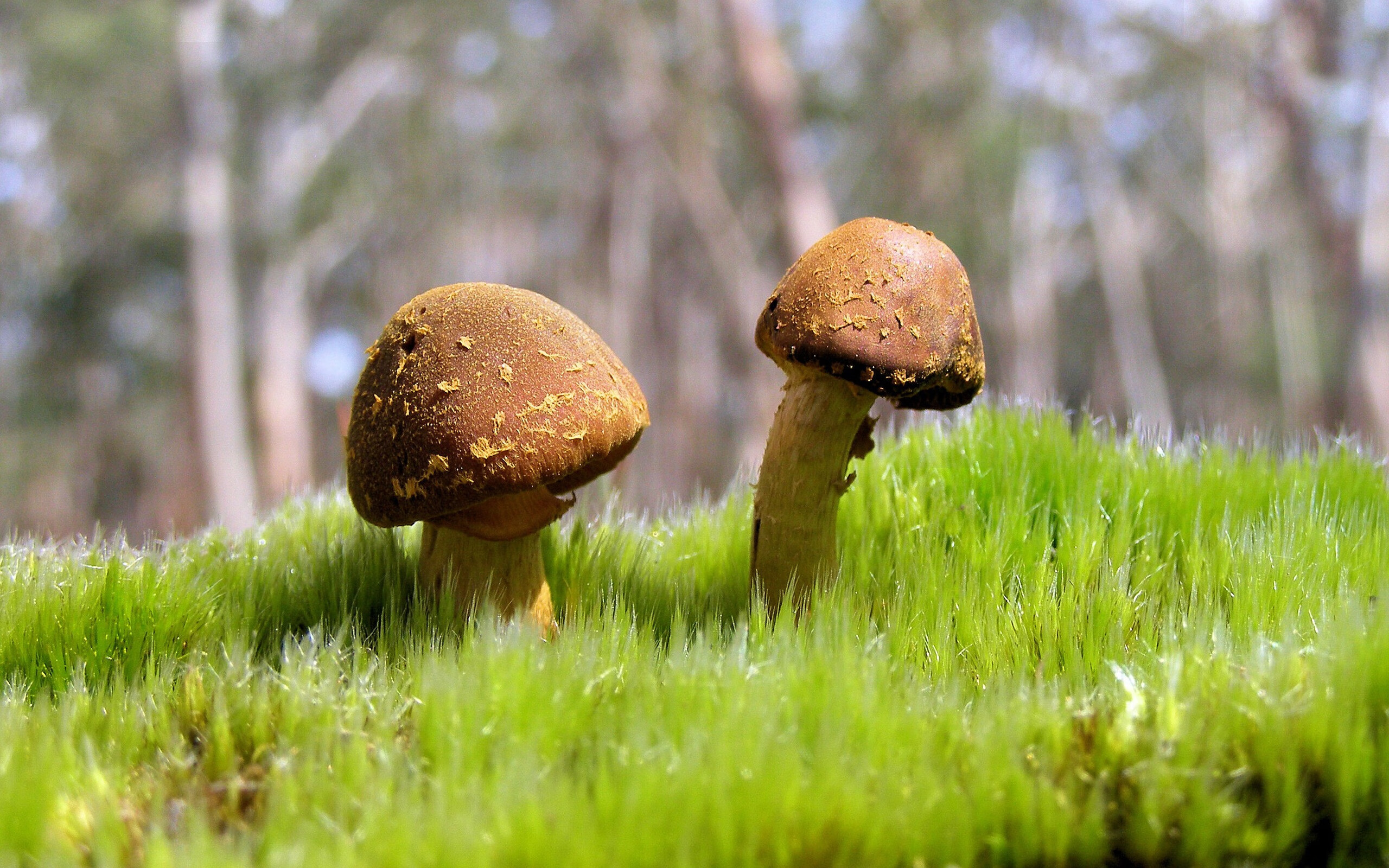 青训基地引入区域合作人才流动机制提高匹配度,青年训练基地